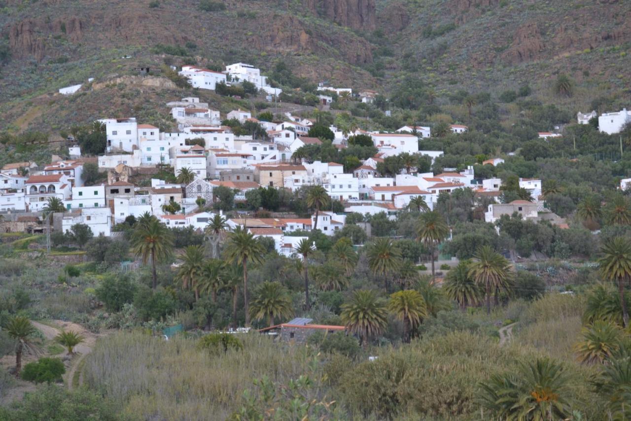 Las Palmeras Temisas Екстериор снимка