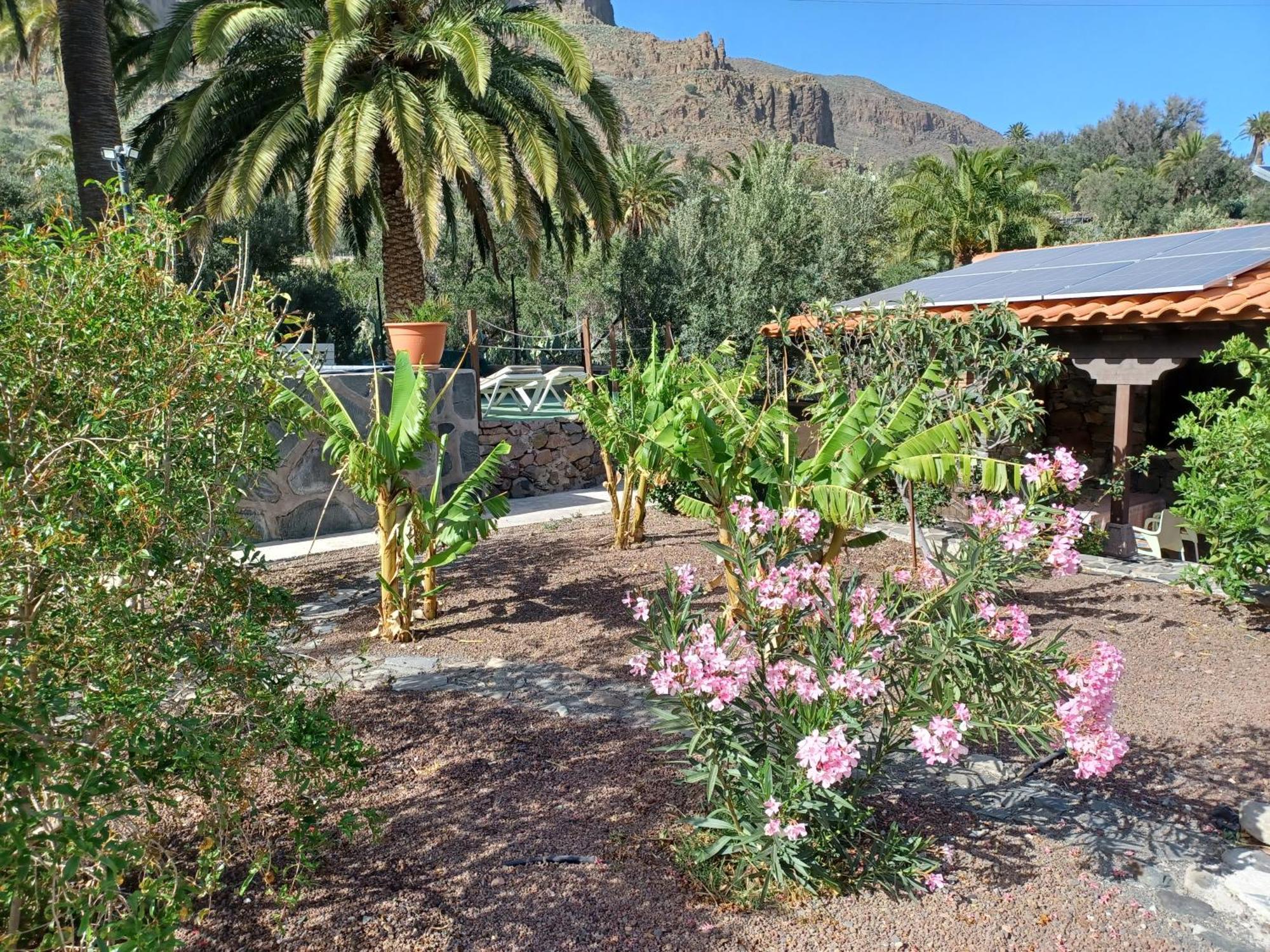 Las Palmeras Temisas Екстериор снимка
